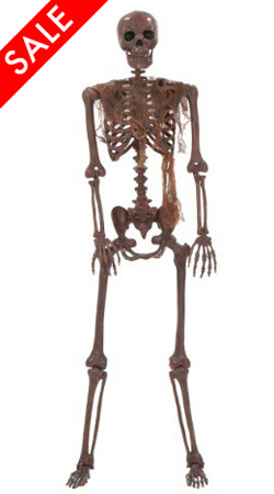 Lifesize Decayed Poseable Skeleton