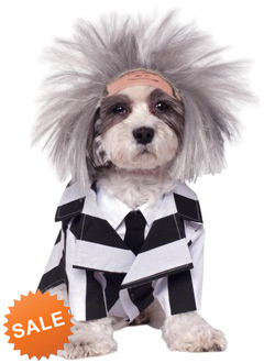 Beetlejuice Costume For Pets