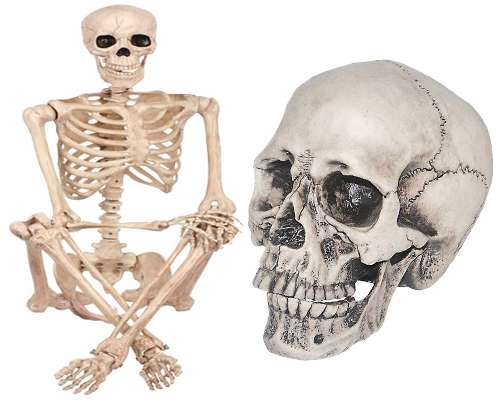 skeletons