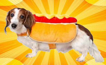 Hot Dog Pet Halloween Costume