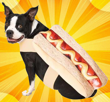 hot dog pet costume